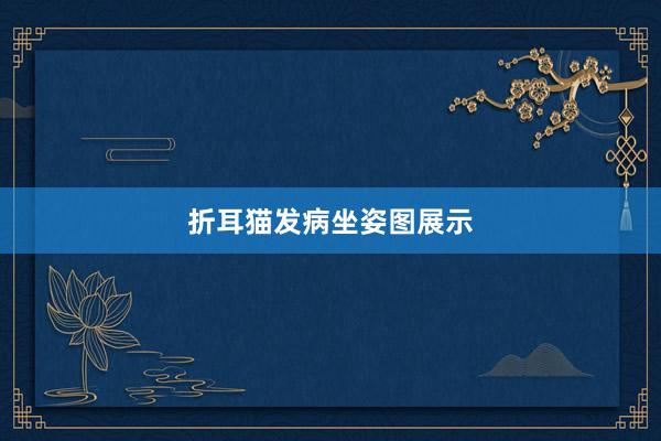折耳猫发病坐姿图展示
