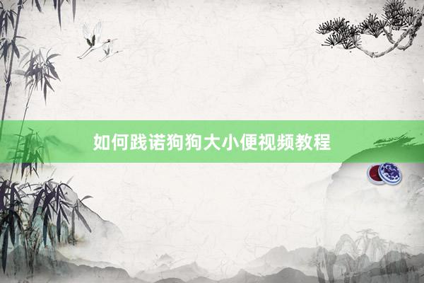 如何践诺狗狗大小便视频教程